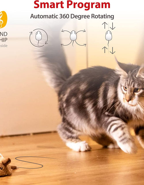 Load image into Gallery viewer, Cat Toys for Indoor Cats, Interactive Cat Toys for Cat Exercise, Automatic Moving Kitten Toys with Real Mouse Sound
