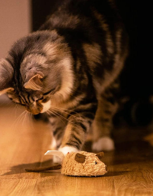 Load image into Gallery viewer, Cat Toys for Indoor Cats, Interactive Cat Toys for Cat Exercise, Automatic Moving Kitten Toys with Real Mouse Sound
