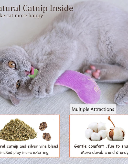 Load image into Gallery viewer, Catnip Toys, Cat Toys, Cat Toys for Indoor Cats, Catnip Toys for Cats, Cat Toys with Catnip, Interactive Cat Toy, Cat Chew Toy, Cat Pillow Toys, Cat Toys for Kittens Kitty
