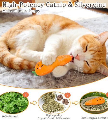 Catnip Toys, Cat Toys, Cat Toys for Indoor Cats, Catnip Toys for Cats, Cat Toys with Catnip, Interactive Cat Toy, Cat Chew Toy, Cat Pillow Toys, Cat Toys for Kittens Kitty