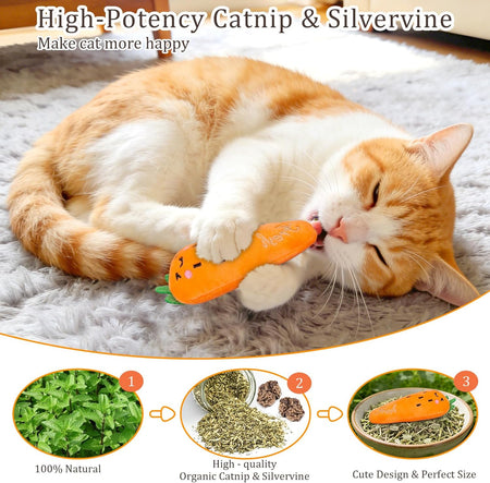 Catnip Toys, Cat Toys, Cat Toys for Indoor Cats, Catnip Toys for Cats, Cat Toys with Catnip, Interactive Cat Toy, Cat Chew Toy, Cat Pillow Toys, Cat Toys for Kittens Kitty